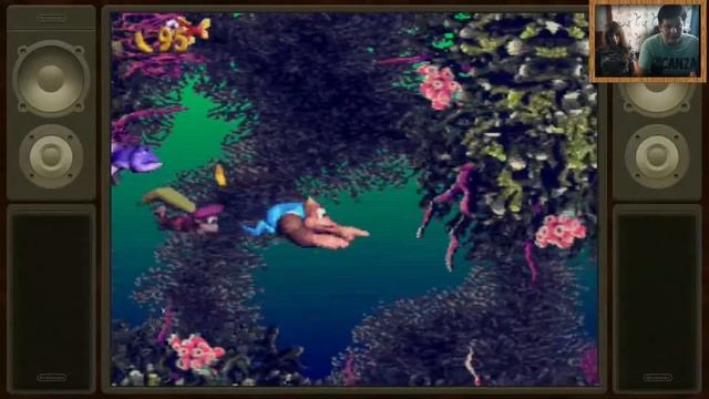 Donkey Kong 3 (SNES) прохождение с комментариями смотреть онлайн