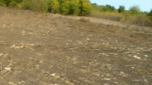 ПАХОТА ДВУХКОРПУСНЫМ ПЛУГОМ САМОДЕЛЬНЫМ МИНИТРАКТОРОМ