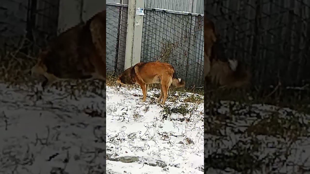 1 ноября 2023 г.