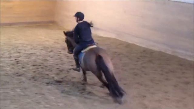 Strumpan 90cm i stenungsund смотреть онлайн