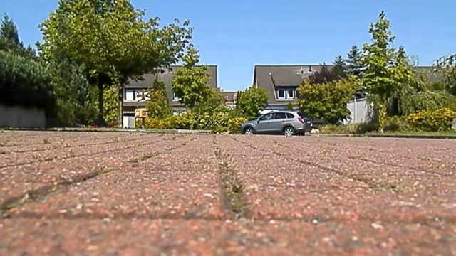 P8130092 смотреть онлайн