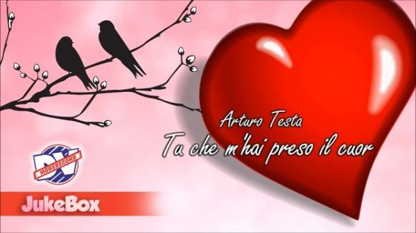 Tu che m'hai preso il cuor