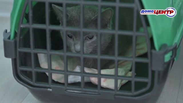 «24 часа» от 20.09.22_Ветаптека «Доктор Айболит» смотреть онлайн