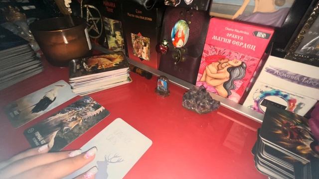 ВАШ ТОТЕМ?#тотемы #тотем #онлайнрасклад #животноесилы #тотемноеживотное #тотемноесущество #животные смотреть онлайн