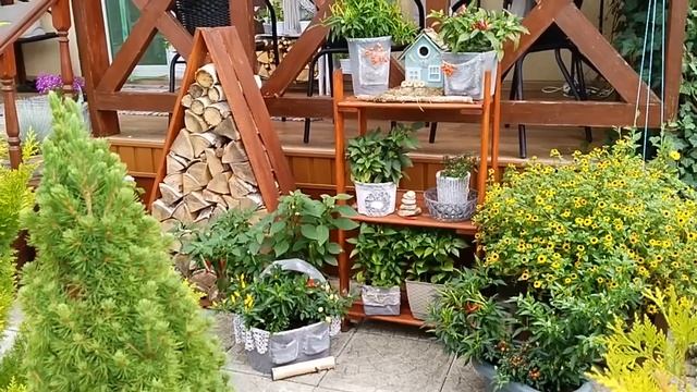 ? Оформление Входной Зоны Частного Дома Своими Руками #garden #сад смотреть онлайн