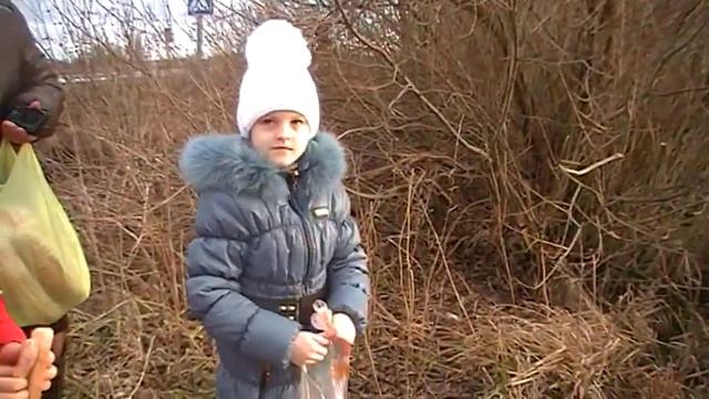 Лилия и Настя кормят лебедей смотреть онлайн