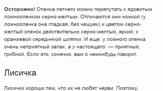 Популярные съедобные грибы смотреть онлайн