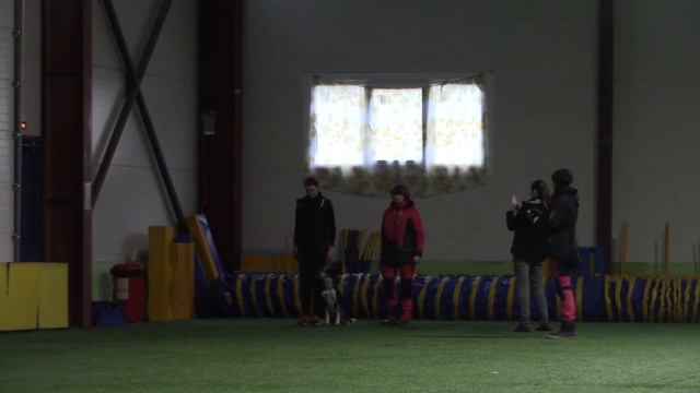 Елизавета Эбергардт и Мако ОБД 2 тренировочные 25.01.20 смотреть онлайн