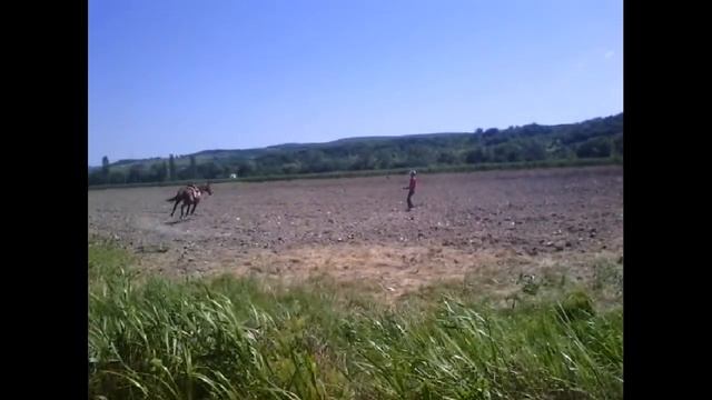 Спустила пар смотреть онлайн