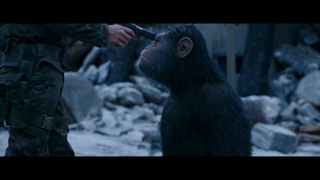 War for the planet of the apes (Epic Tribute) смотреть онлайн