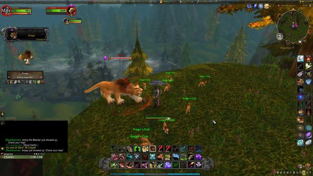 Kal's Hunting Logs 179 | Hillsbrad Foothills | Araga смотреть онлайн