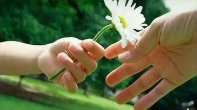 Стихотворение"А знаешь ,ты всегда кому-то нужен' смотреть онлайн