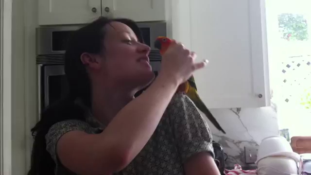 Попугай очень любит танцевать смотреть онлайн