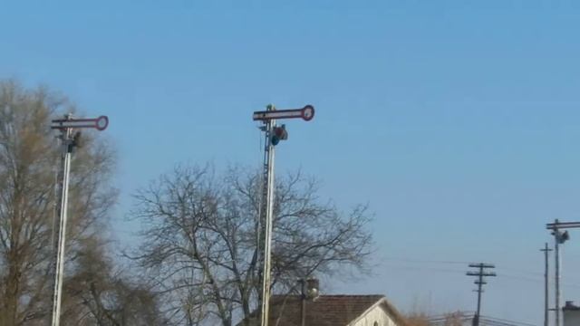 Test Nikon P500 1080p30fps MOV смотреть онлайн