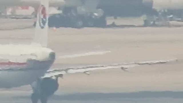 Canon Powershot sx60 HS Super zoom test смотреть онлайн