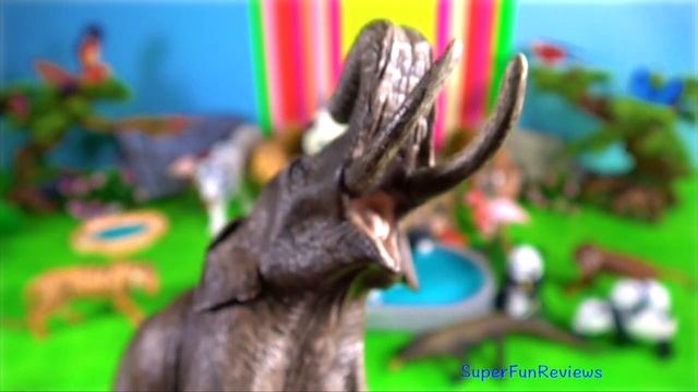 Top 10 Indonesian, Indian And Asian Wild Animals 13+