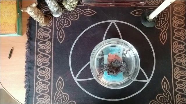 Снимаем Жабью порчу.