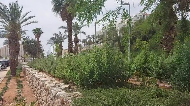 Море удовольствия.Мертвое Море/Dead Sea смотреть онлайн