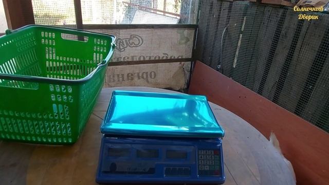 Вес крупного бройлера в 4 месяца. Выращиваю бройлера на мешанке. смотреть онлайн