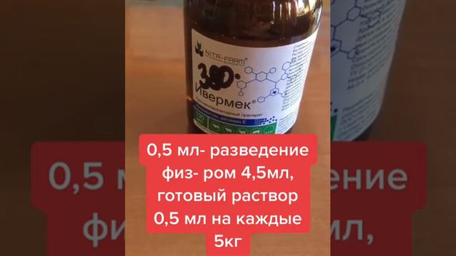 инъекция от паразитов