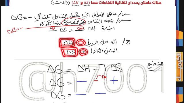 حسين الهاشمي• الفصل الأول•
المحاضرة :  22