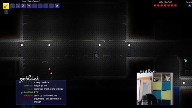 Terraria Map - Down the Well - Episode 1 смотреть онлайн