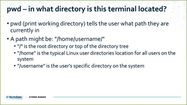 Cyber Essentials Series - Course 1: Getting to Know Kali смотреть онлайн