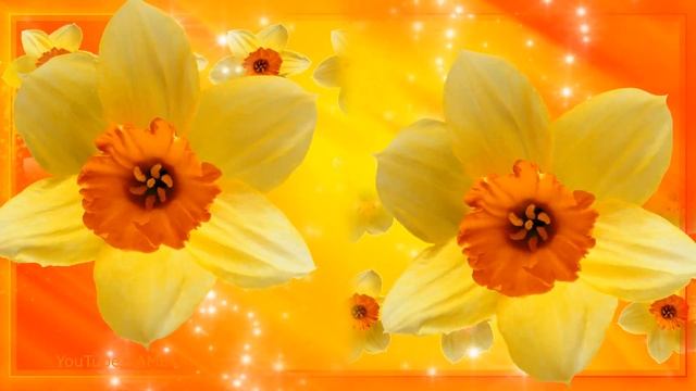 ШИКАРНОЕ ПОЗДРАВЛЕНИЕ ?С ДНЕМ 8 Марта? С праздником Весны и Любви смотреть онлайн