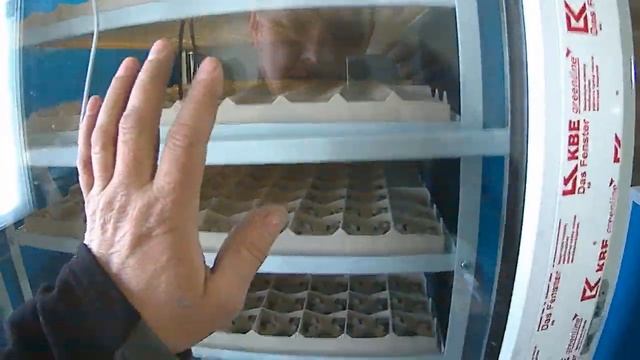 Инкубатор универсальный фермерский на 1950 яиц в город Уфа. смотреть онлайн