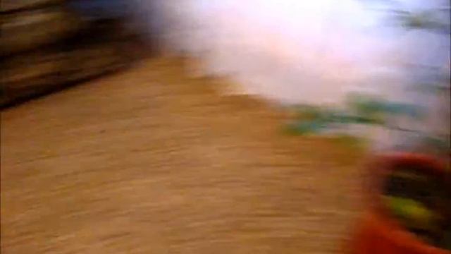 Щенок цвергпинчера!! смотреть онлайн