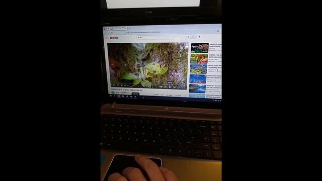 Unsupported HW Acceleration on Windows 10 (AMD A8-3500M + Radeon HD 6620G) смотреть онлайн