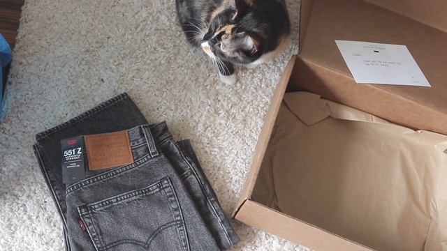 WINTER PICKUPS | Kapital, Saint Laurent, Levis, Unsound Rags смотреть онлайн