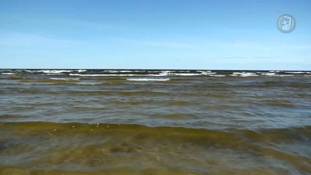 УРОК: Поляризационный фильтр смотреть онлайн