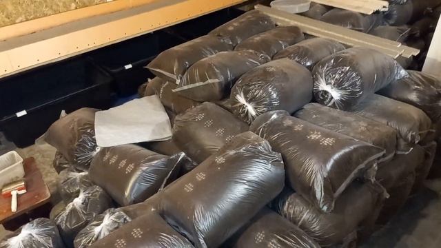 Почему я пользуюсь торфом!? Часть 2 смотреть онлайн