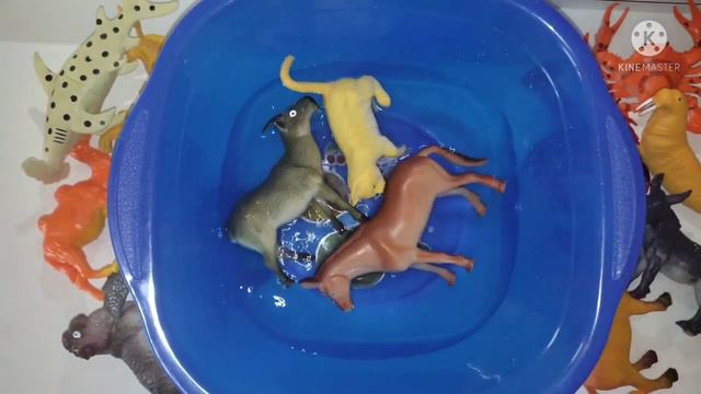 Учим животных на английском/ лошадь/ баран/ коза/ собака/ кошка/