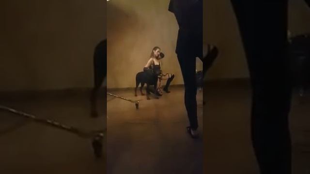 Работа фотомодели... Фотомодель Елена Елдинова. Фотопозирование! смотреть онлайн