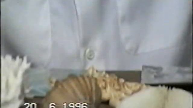 Жилин В.М капитан 2-ого ранга ВМФ_встреча 1996 год смотреть онлайн