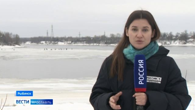 В Рыбинске любители зимней рыбалки продолжают выходить на лед, несмотря на запрет смотреть онлайн