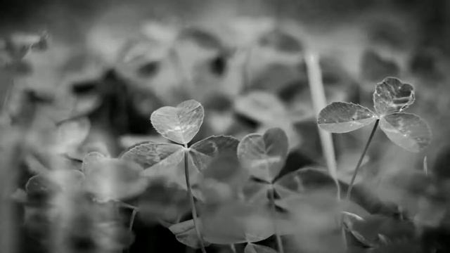 Сказка про двух милых сестричек 3 смотреть онлайн