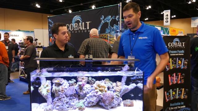 New C-View Aquariums From Cobalt Aquatics смотреть онлайн