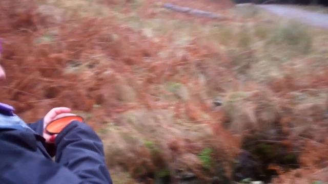 2 Day Wildcamp in Scotland, Glen Doll. (My first Youtube meetup) смотреть онлайн
