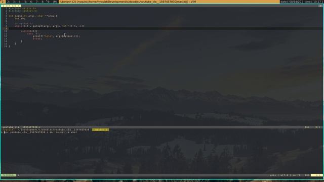 C Programming | using command line arguments смотреть онлайн