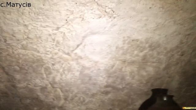 Огляд будинку в селі за 4900$ 20соток ПРОДАЖ смотреть онлайн