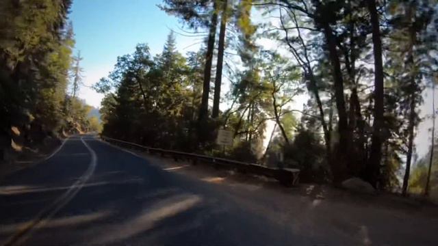 Veteran Shermans Meet The General Sherman in Sequoia National Park смотреть онлайн