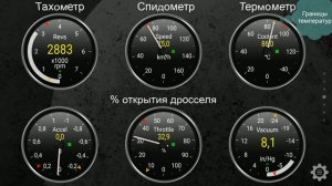 Рено Дастер. Высокий расход бензина, вычисляем.