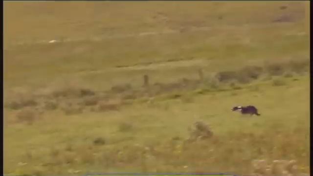 Галилео. Килт (часть 1) смотреть онлайн