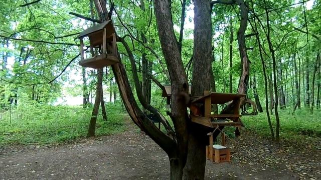 Севастопольский парк