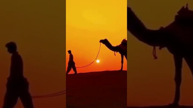 🐫🏜🕌 - Если ветра, то попутного! Поменьше песка летящего в глаза. Ну и удачи! смотреть онлайн