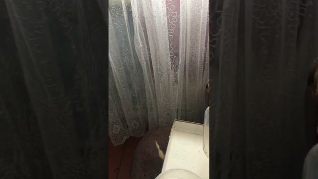 Сито для дроби