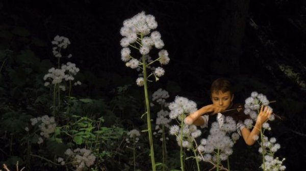 Домино (Domino) В.Ковтун &  Snesar Trio